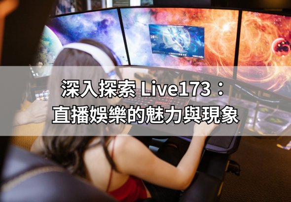 你的段落文字 (1)