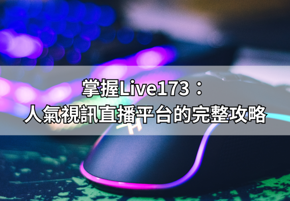 你的段落文字 (1)