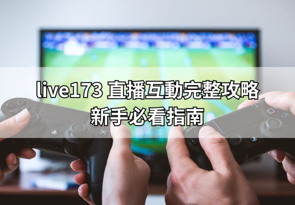 你的段落文字 (2)